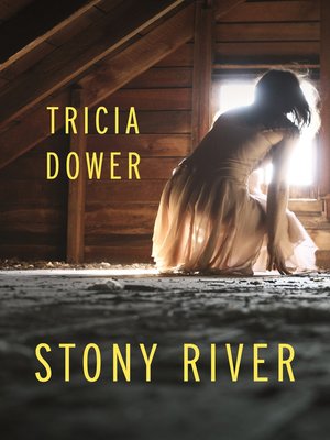 cover image of Stony River